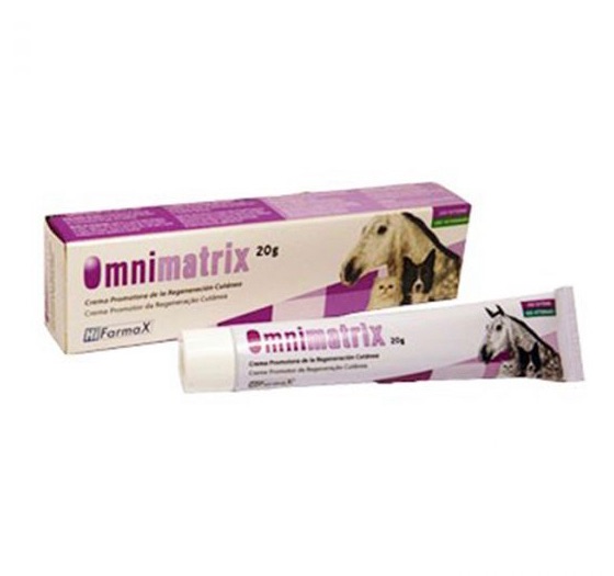 Omnimatrix 20g